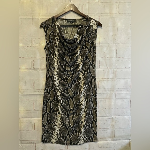 Jones New York Dresses & Skirts - Jones New York Collection Sheath Python Snake Print